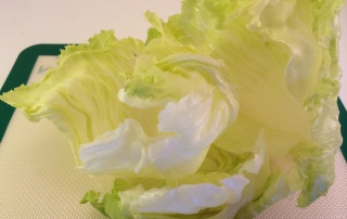 crispy lettuce