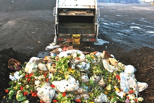 food waste