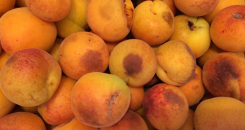 apricots